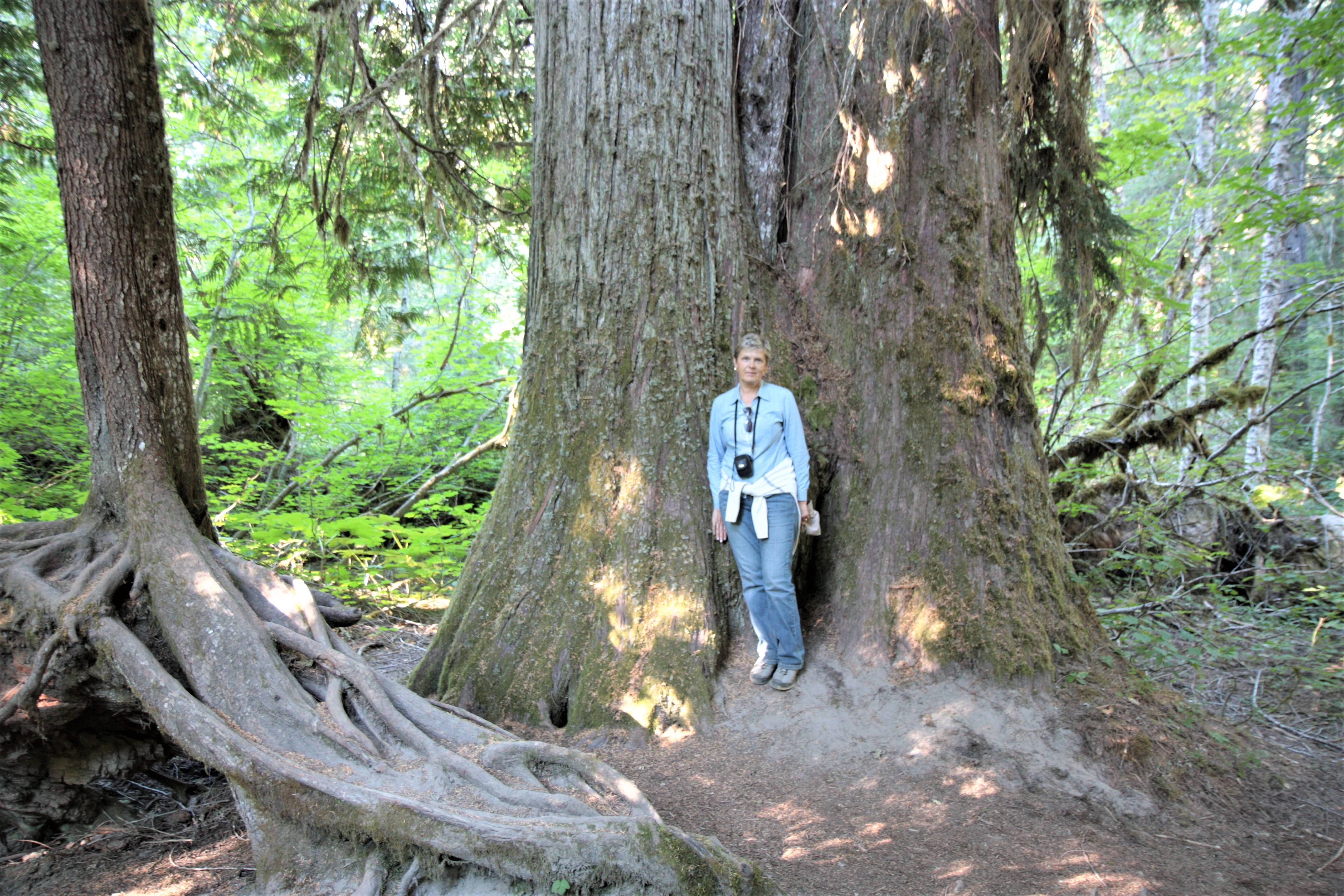Mount Rainier NP